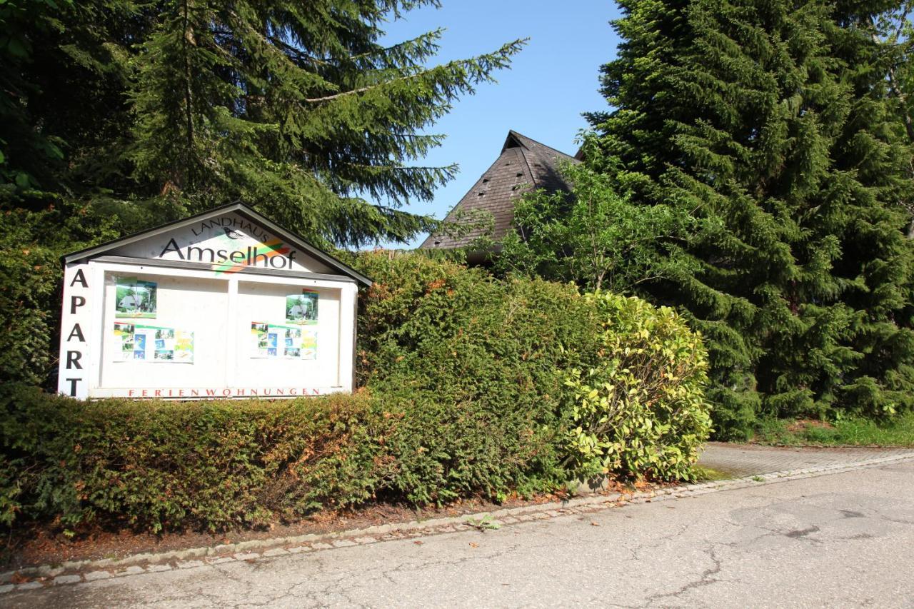 Landhaus Amselhof Hinterzarten Exteriör bild
